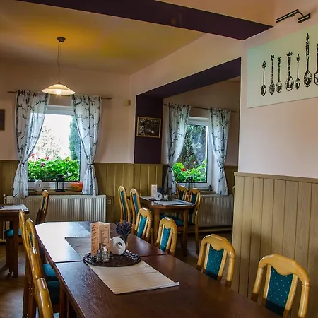 Hotel U Jezera 3*